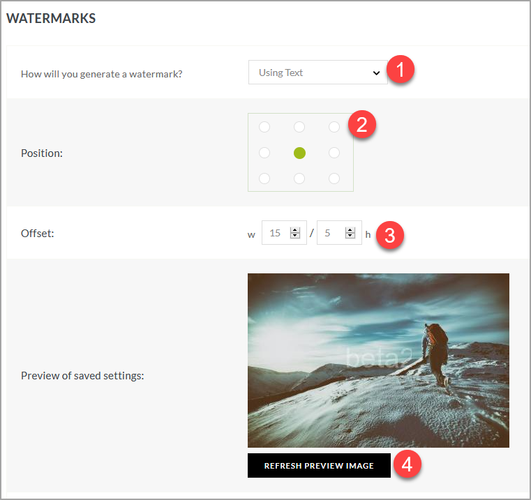 Watermark Settings: Using text, Position, Offsert, Preview