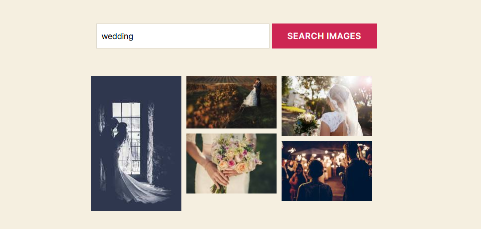 Search_front_bigger | Imagely FrontEnd Image Search with Masonry, twenty twenty