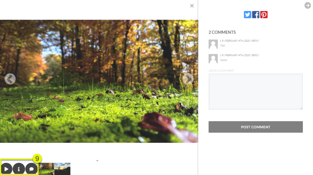 display_carouselcolor_settings | Imagely Background color icons on the carousel could be adjusted as well.