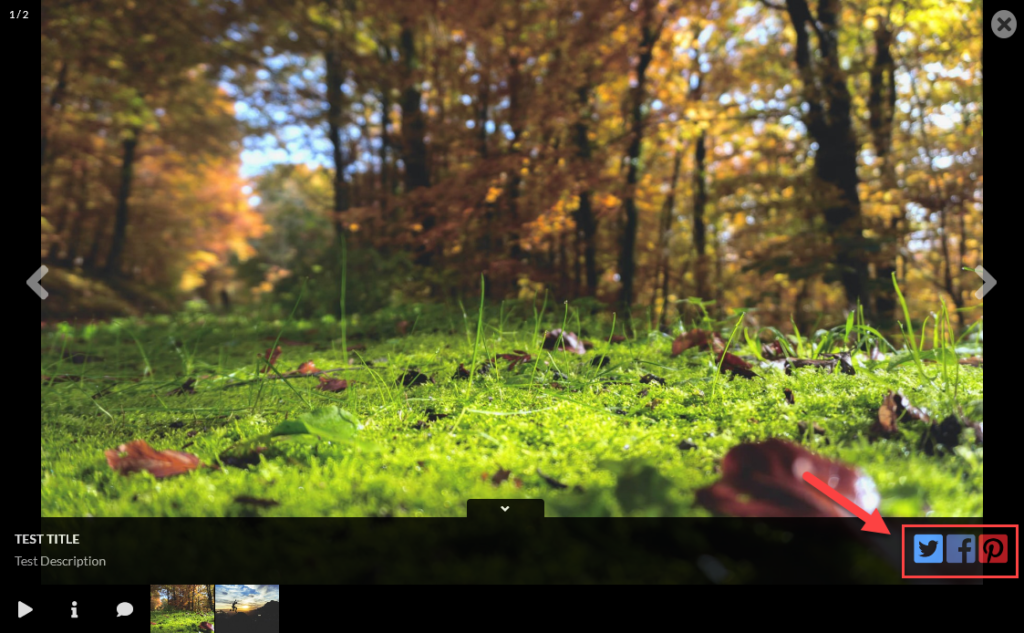 Share icons available next to the title and description of the photo: twitter, facebook, pinterest