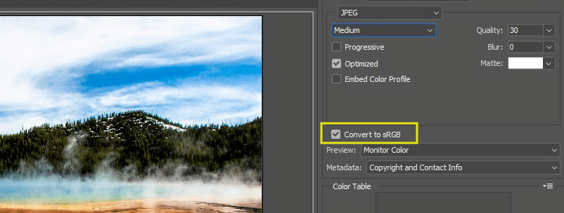 When you're saving your image, make sure the box next to 'Convert to sRGB' is checked. This will ensure you're using the correct color space and, in turn, provide a more pleasant experience for your site visitors. 