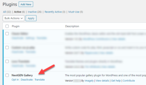 How to install your NextGEN license | Imagely