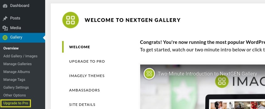 nextgen-gallery-upgrade | Imagely If you’re an existing NextGEN Gallery user, you can upgrade to NextGEN Pro by navigating to Gallery in your WordPress dashboard, and then selecting Upgrade to Pro: