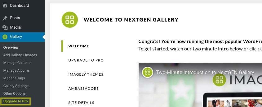 If you’re an existing NextGEN Gallery user, you can upgrade to NextGEN Pro by navigating to Gallery in your WordPress dashboard, and then selecting Upgrade to Pro: