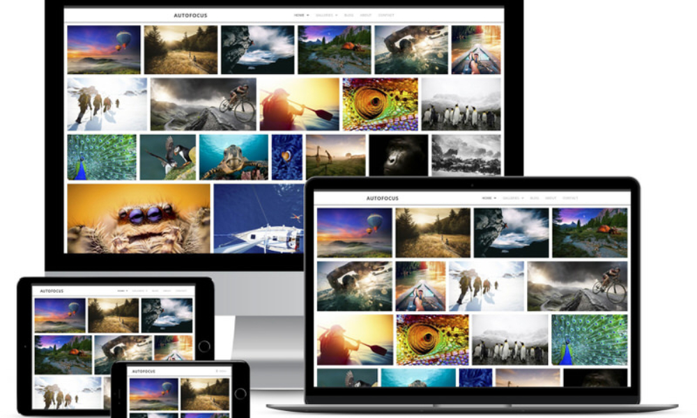 9 Photography Website Templates As Child Themes and Presets