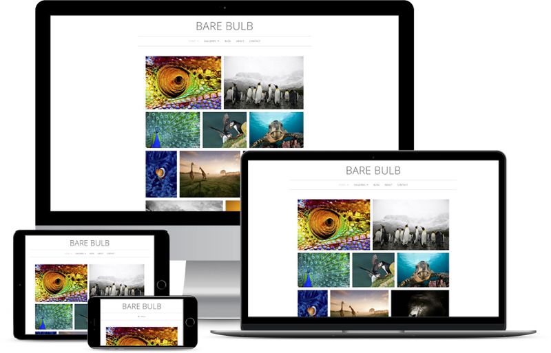 barebulb-demo | Imagely Bare Bulb