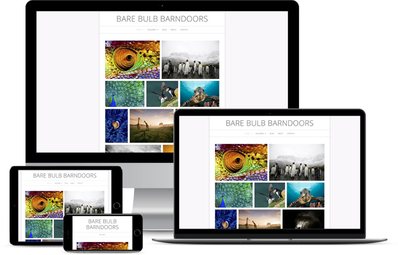 barebulbbarndoors-demo | Imagely Bare Bulb Barndoors
