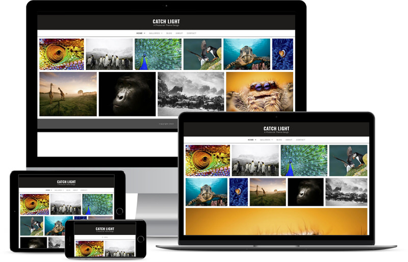 catchlight-demo | Imagely Catchlight