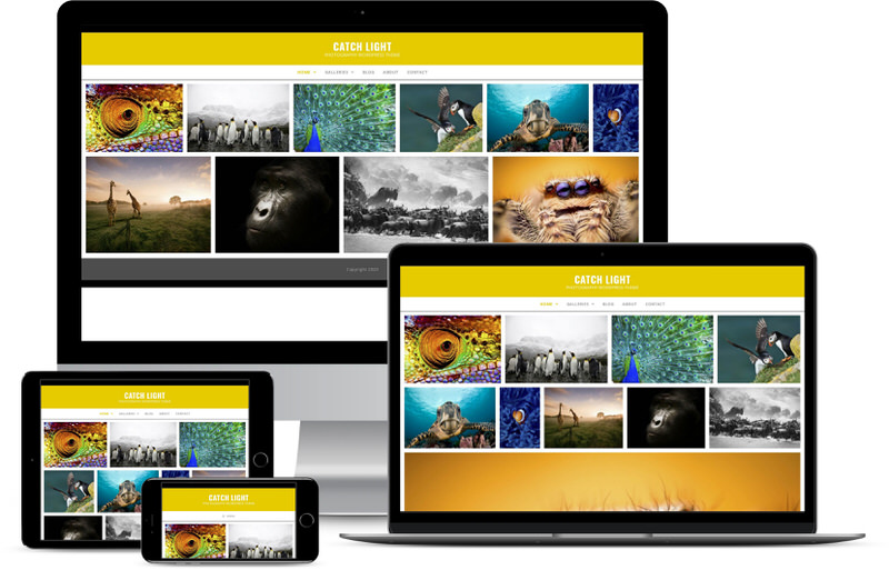 catchlightyellow-demo | Imagely Catchlight Yellow