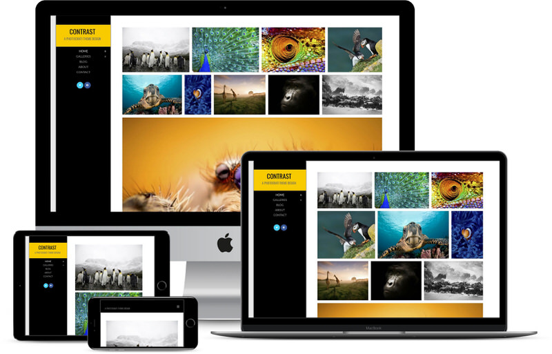 contrastyellow-demo | Imagely Contrast Yellow