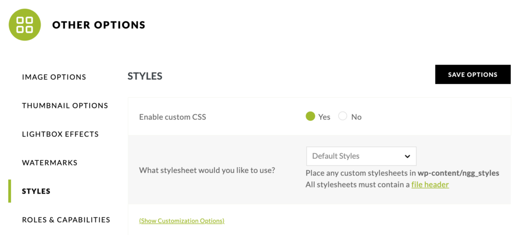 Styles Tab Styles Tab
