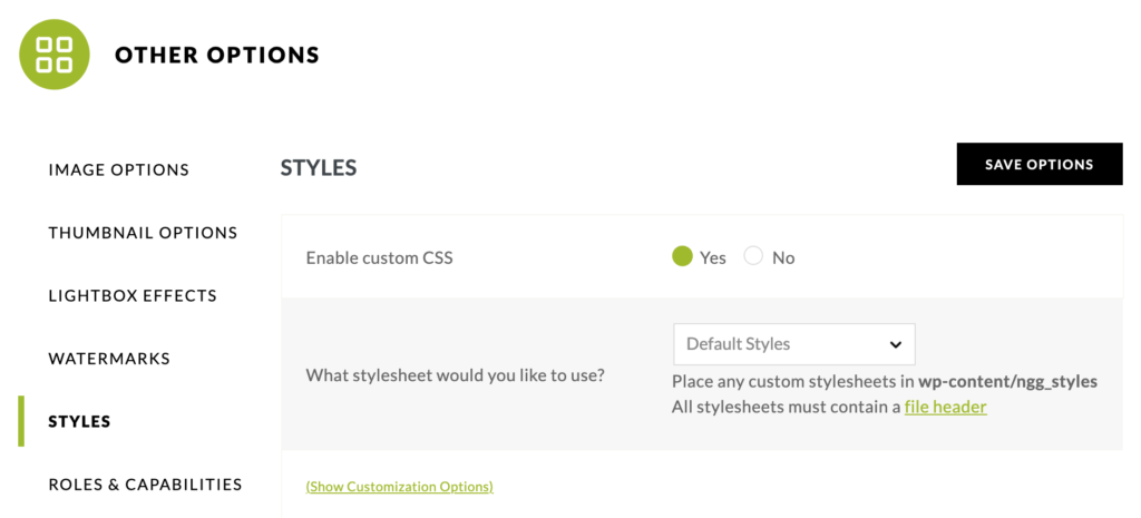 Styles Tab