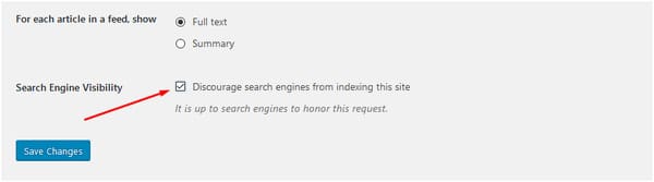 Once you are done with themes and plugins, quickly check if your website has search engine visibility enabled. This means that you allow a search engine to index and crawl your website. In case you are in development and don’t want it to get index, you can simply turn it off.