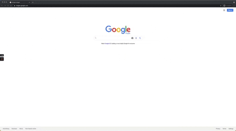 Animated-GIF-downsized_large | Imagely How to Find Your Stolen Photos Online with Google Image Search