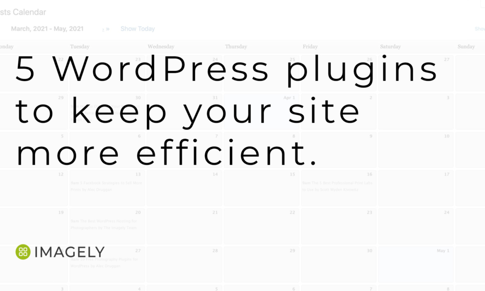 5 WordPress plugins to keep your site more efficient