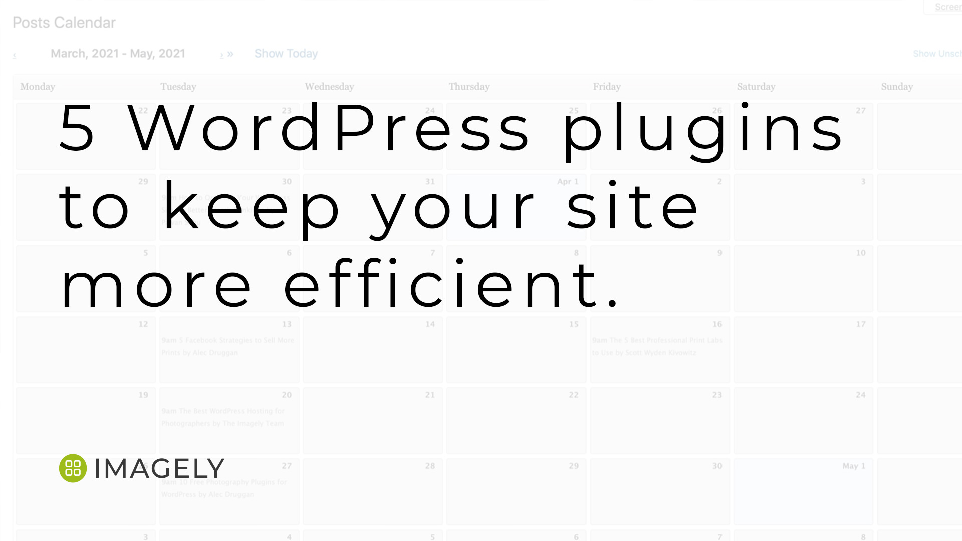 5 WordPress plugins to keep your site more efficient