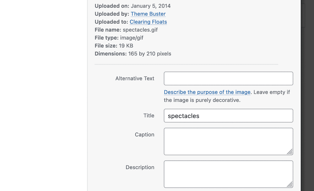 The Media Library metadata fields.