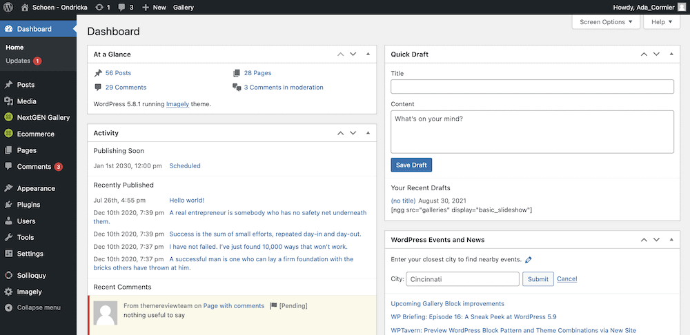 The WordPress dashboard.