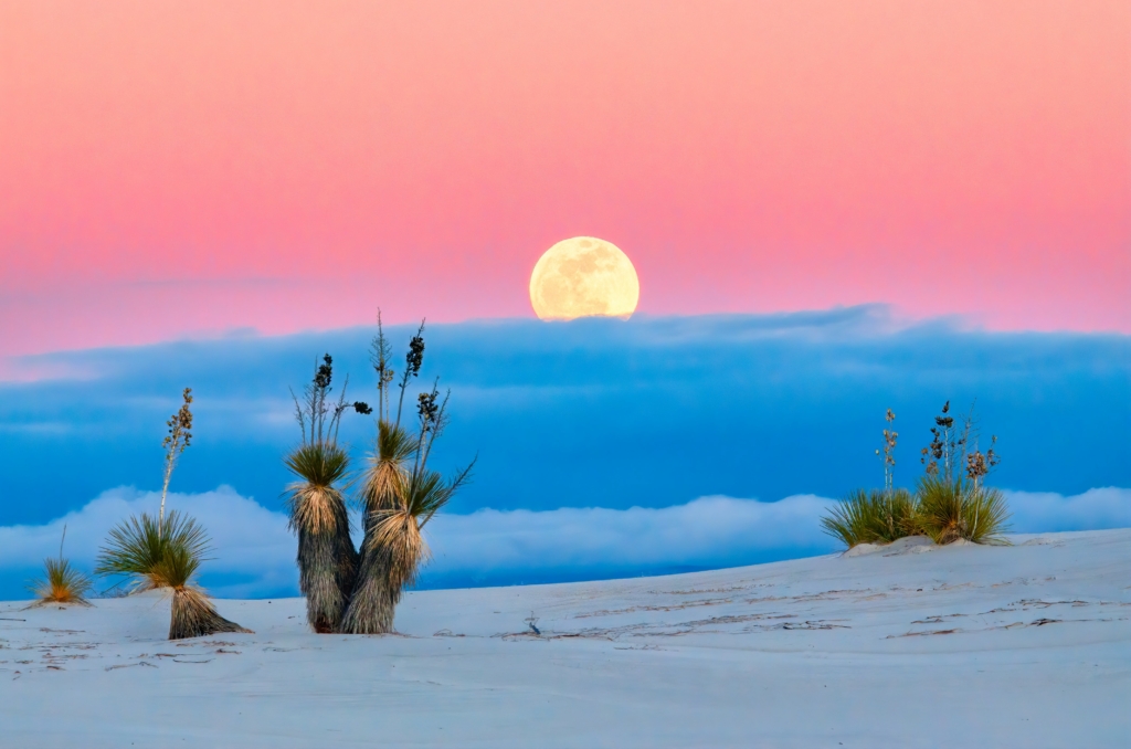 Landscape featuring white sand and a few shrubs with clouds, light pink color sky, and a full moon in the background
