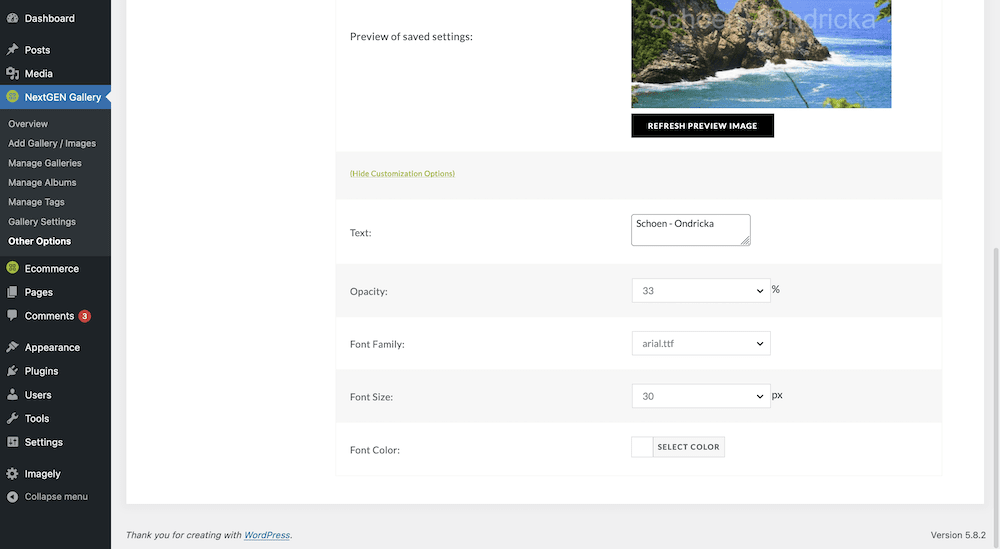 Adjusting the typography for a watermark in NextGEN Pro.
