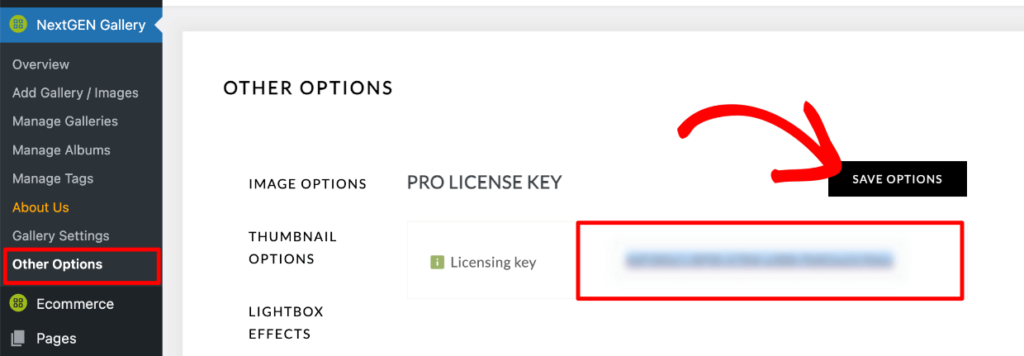 NextGEN Gallery - Verify license key