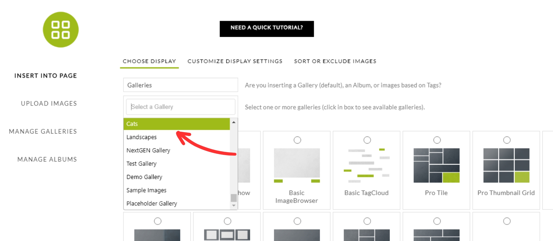 how-to-insert-a-mosaic-gallery-5 | Imagely