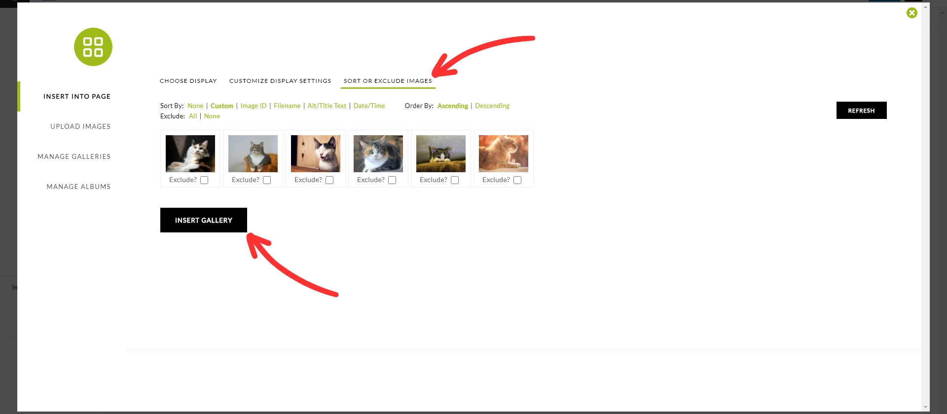 how-to-insert-a-mosaic-gallery-7 | Imagely