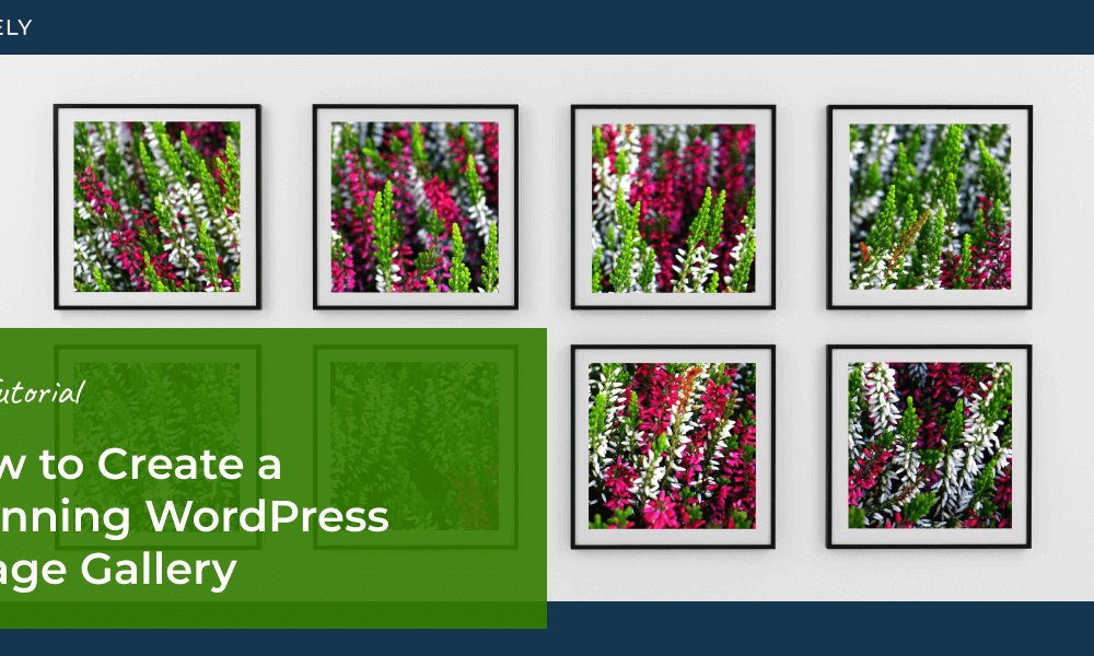 How to Create a Stunning WordPress Image Gallery (Tutorial)