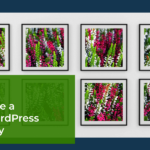 How to Create a Stunning WordPress Image Gallery (Tutorial)