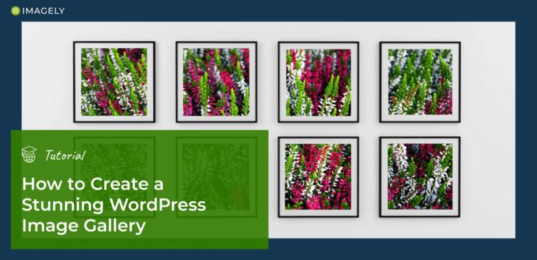 How to Create a Stunning WordPress Image Gallery (Tutorial)