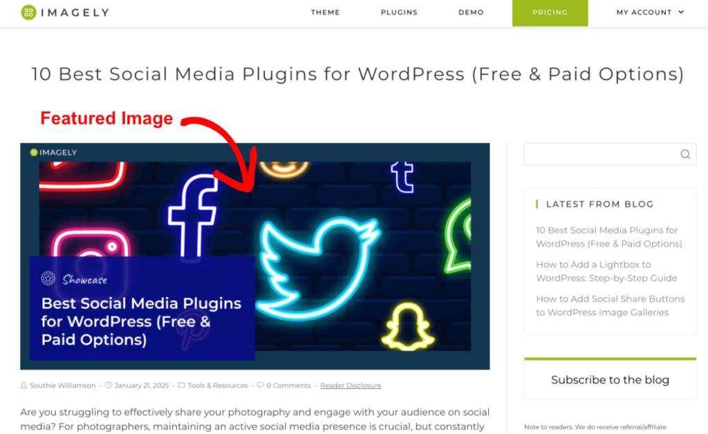 wordpress-featured-image-example 1 1 | Imagely Example of a WordPress featured image on a blog post