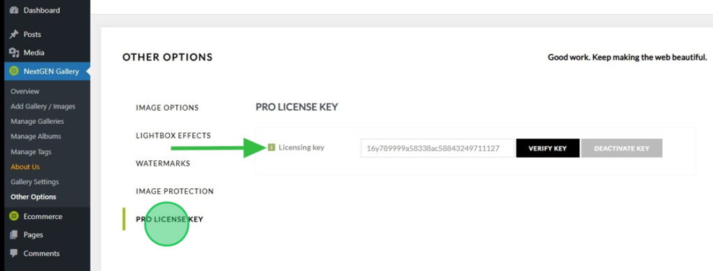 Add License Key on Dashboard