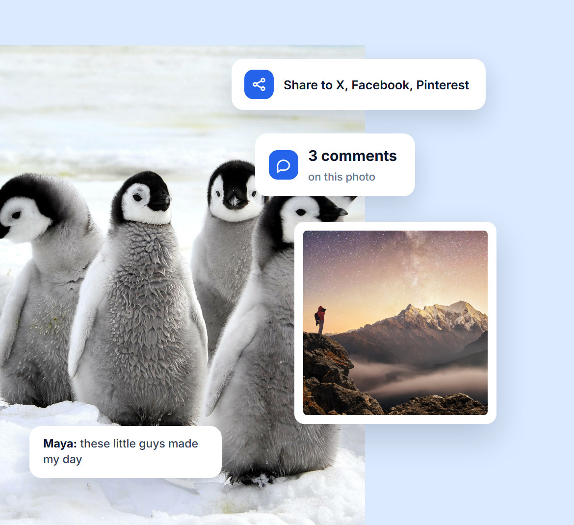 Share buttons for X, Facebook and Pinterest and three comments on a photo of penguin chicks, including a visitor note