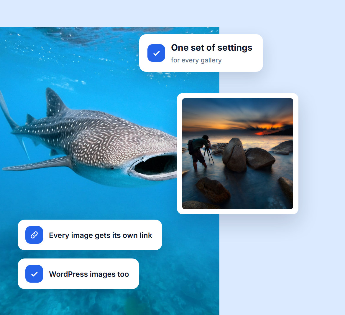 One set of lightbox settings for every gallery, with its own link for each image and support for WordPress images, over a whale shark photo