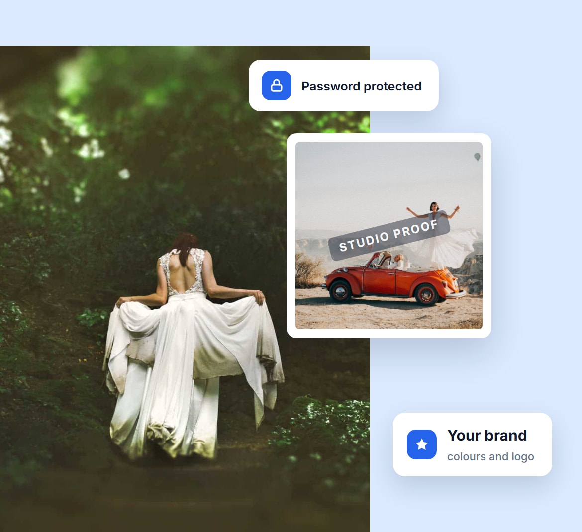 A password-protected proofing gallery with a studio watermark across a photo and the studio's own colours and logo