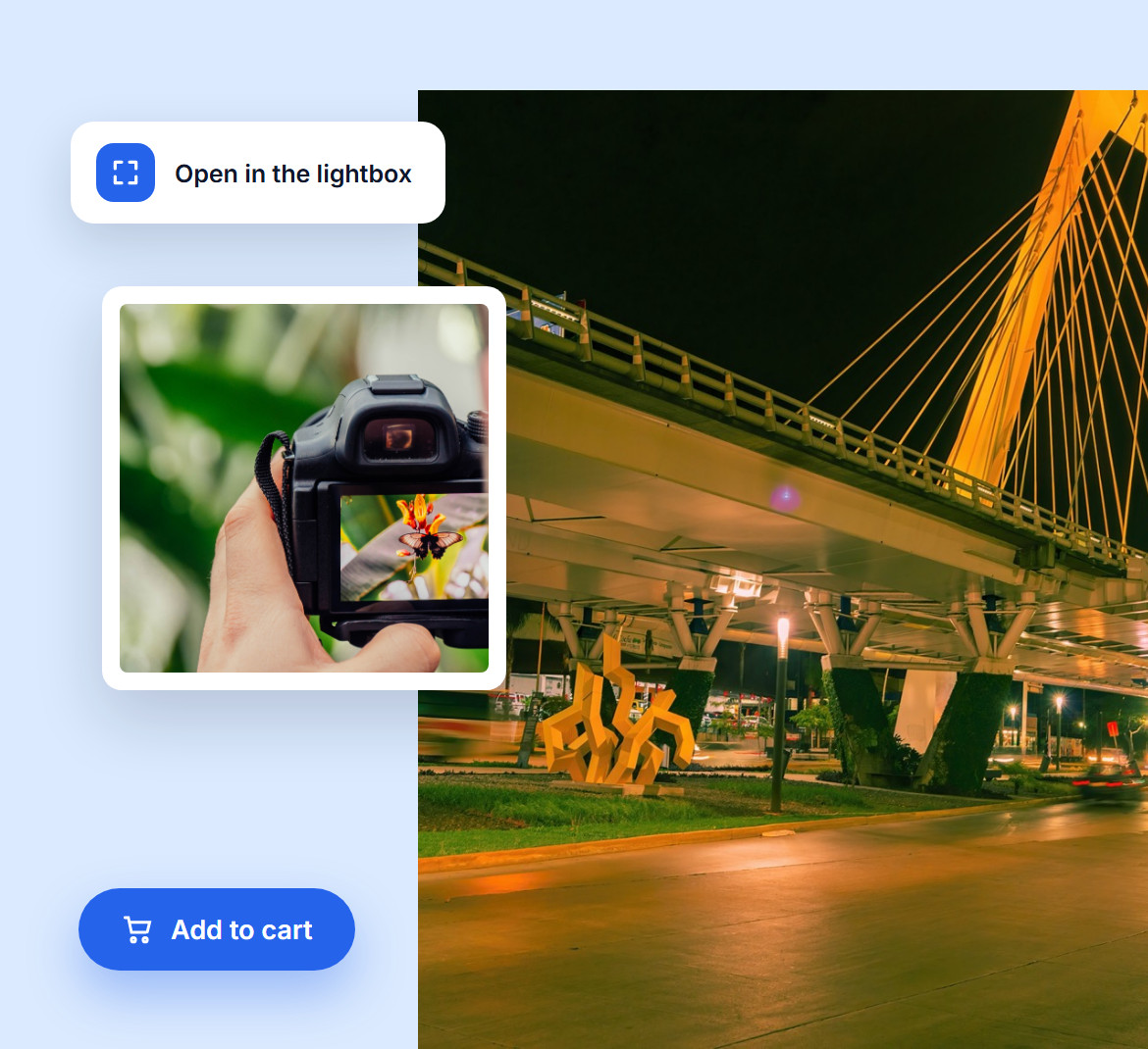 Add to cart from the lightbox on a photo of a camera shooting a flower, over a lit bridge at night