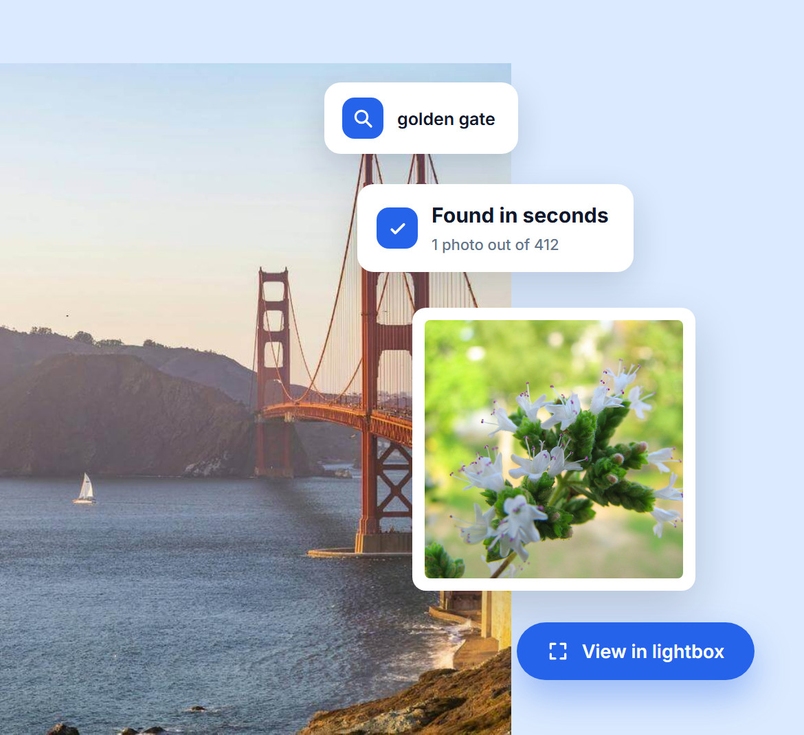 A search for golden gate finding 1 photo out of 412 in seconds, with a View in lightbox button, over the Golden Gate Bridge