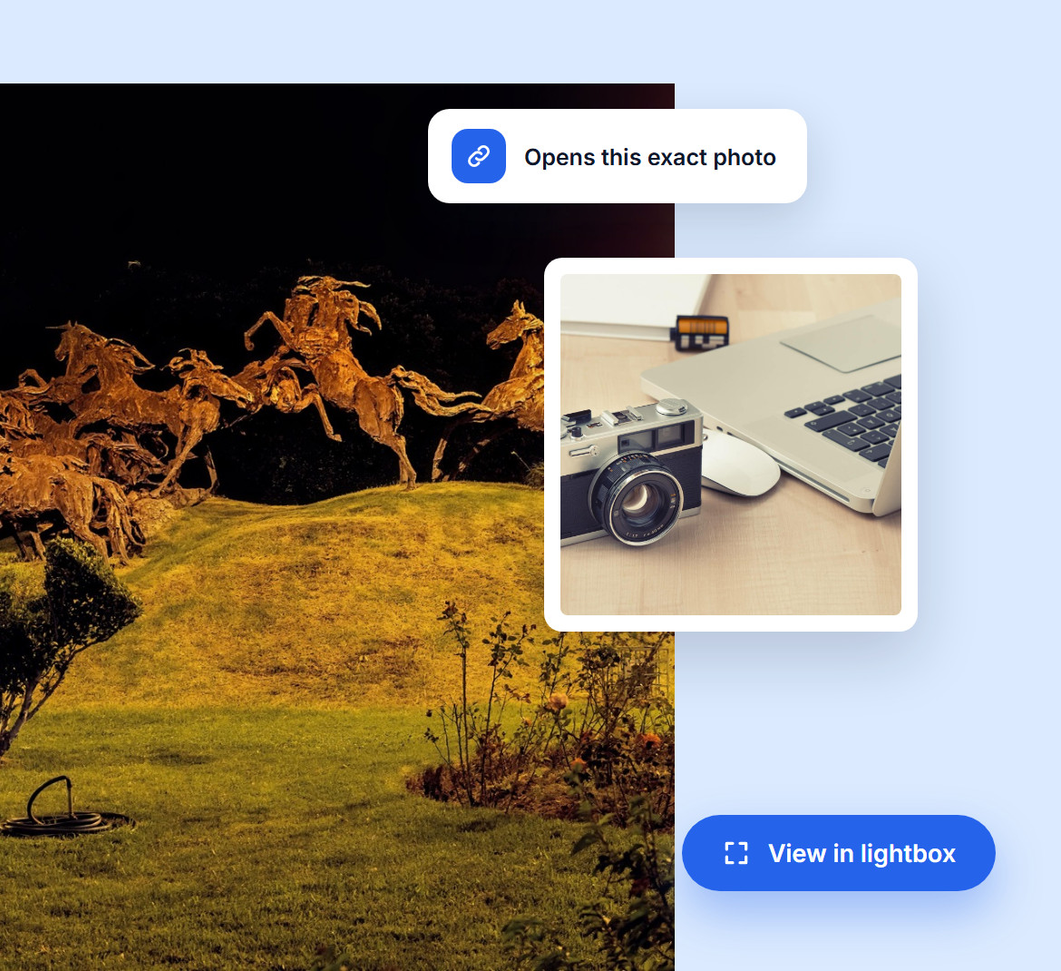 A shared link opening that exact photo in the lightbox, over a horse sculpture at night